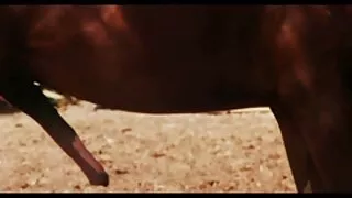 Смокче українське домашне порно член з горлом після уроків минета горла.