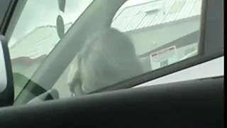 Сестра замінює кицьку свого порно в українському селі брата.